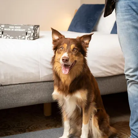 Ξενοδοχείο Novotel 4*