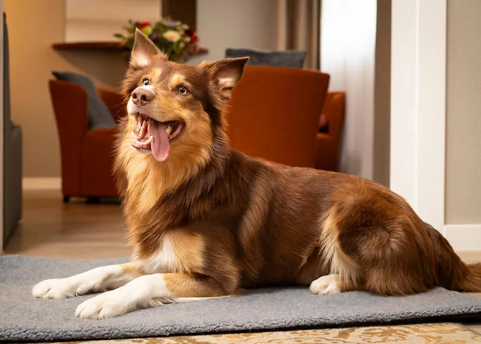 Novotel 4* Μάαστριχτ